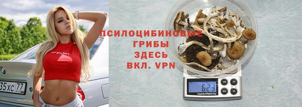 ALPHA PVP Алексин