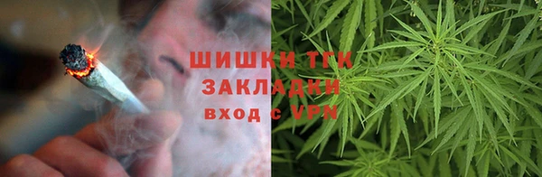 прущие грибы Алексеевка