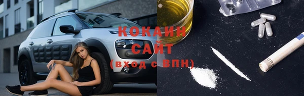 прущие грибы Алексеевка